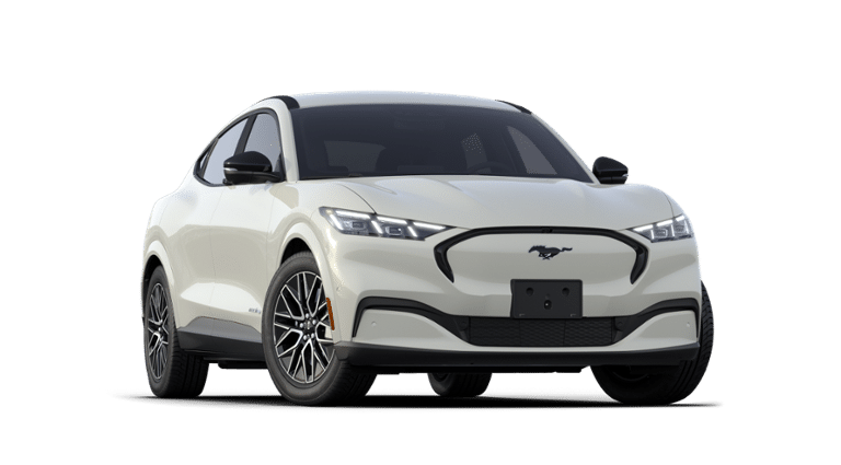 Mustang Mach-E® vehicle